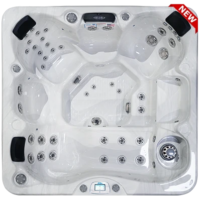 Avalon-X EC-849LX hot tubs for sale in Jefferson